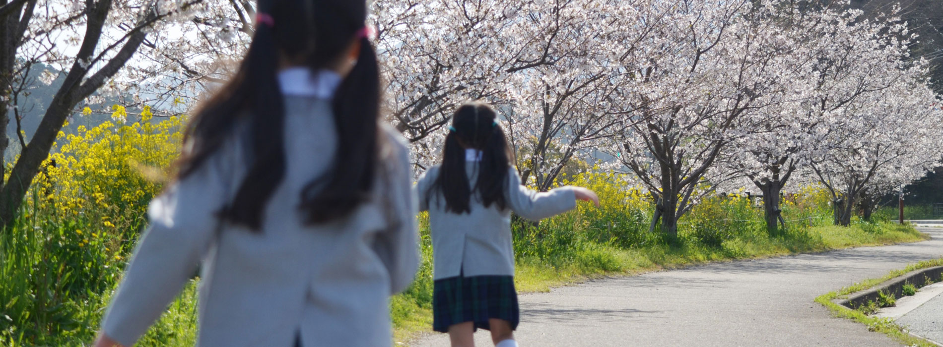 春イメージ02
